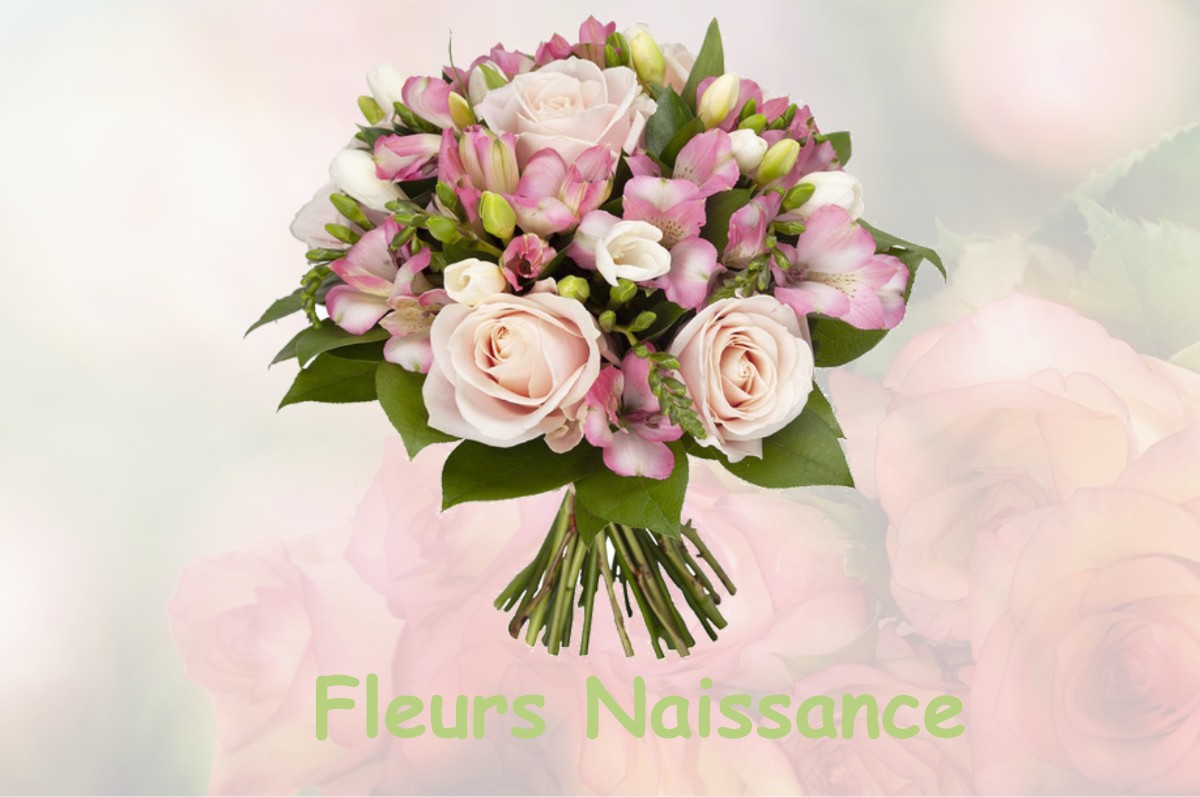 fleurs naissance VILLENNES-SUR-SEINE