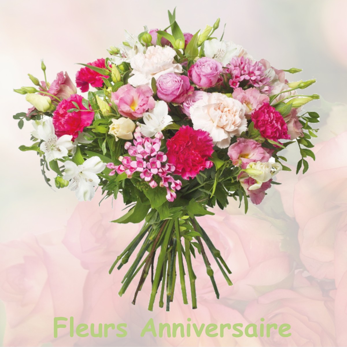 fleurs anniversaire VILLENNES-SUR-SEINE